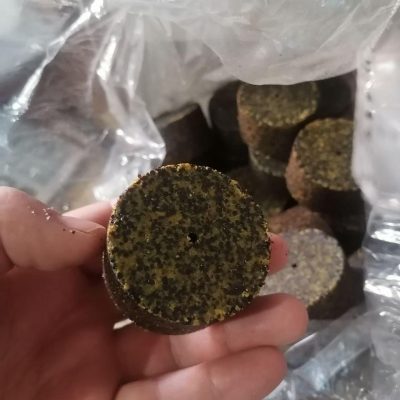 Ріпакова Шайба