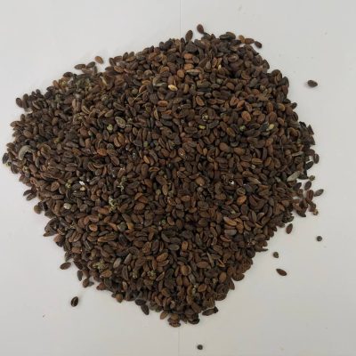 Фацелія