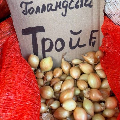 Насіння цибулі "Радар" зимова голландська рання солодка 1кг