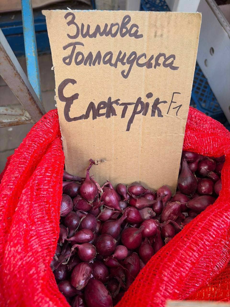 Насіння цибулі "Електрік" зимова голландська 1кг